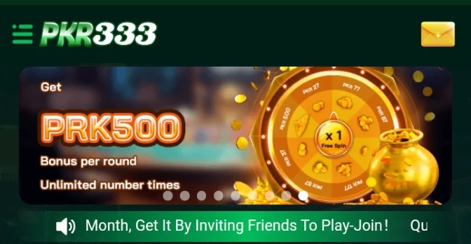 pkr333